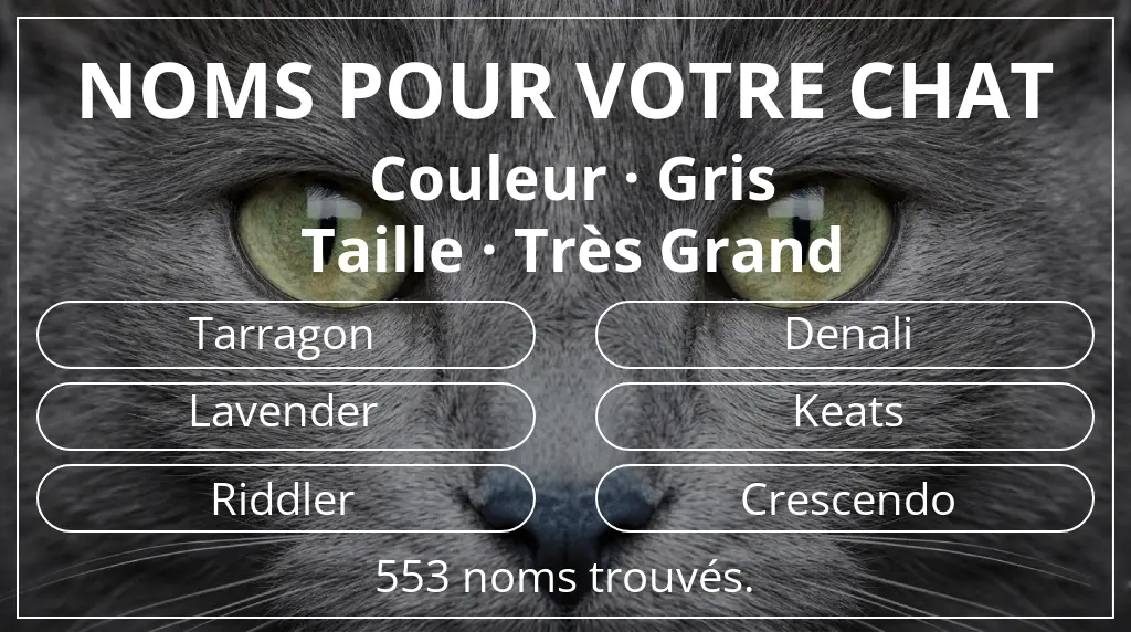 Noms félins basés sur couleur gris et taille très grand