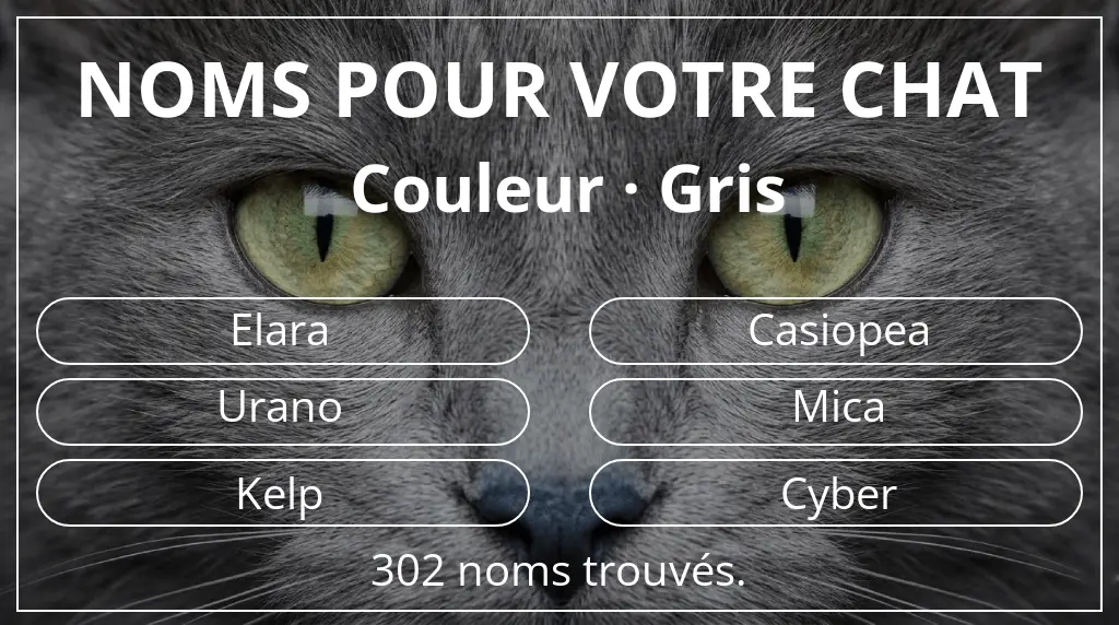 Noms pour chats en lien avec couleur gris