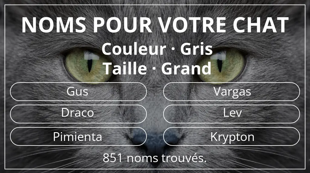 Noms pour chats en lien avec couleur gris et taille grand