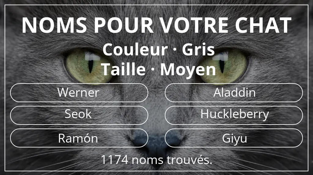 Noms pour chats en lien avec couleur gris et taille moyen
