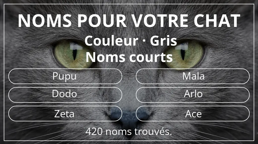 Noms pour chats inspirés de couleur gris et longueur du nom court (2 à 4)