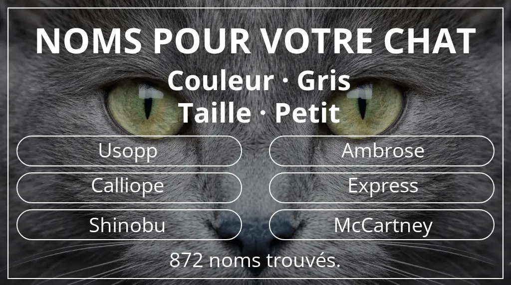 Noms félins inspirés de couleur gris et taille petit