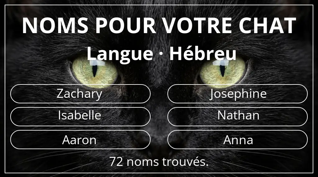 Noms pour chats basés sur langue hébreu