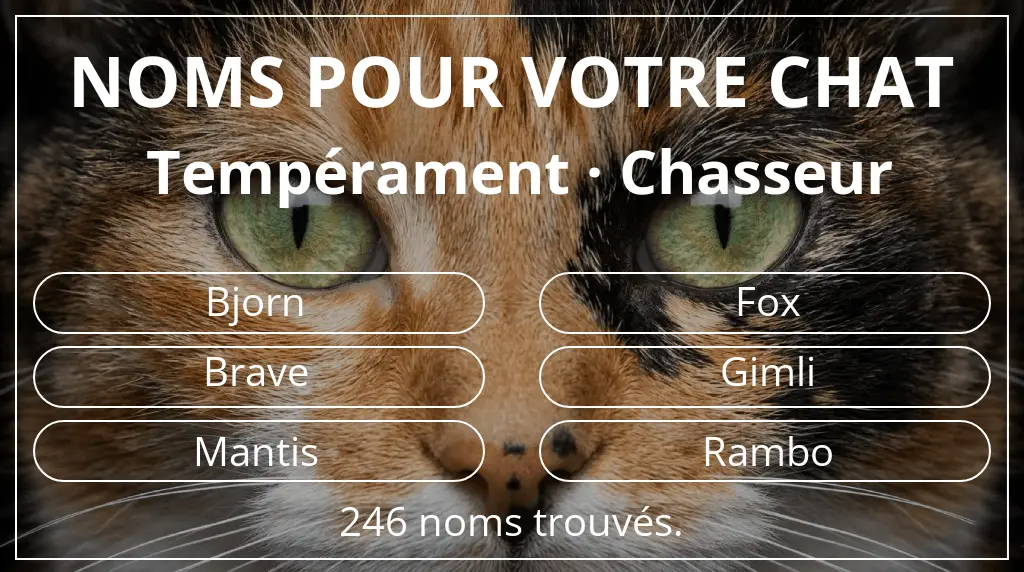 Noms de chats inspirés de tempérament chasseur