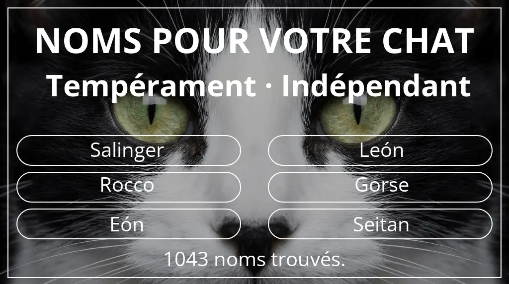 Noms félins inspirés de tempérament indépendant