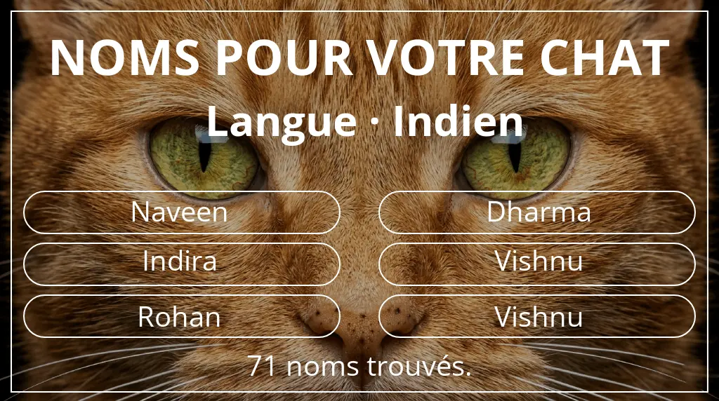 Noms de chats basés sur langue indien