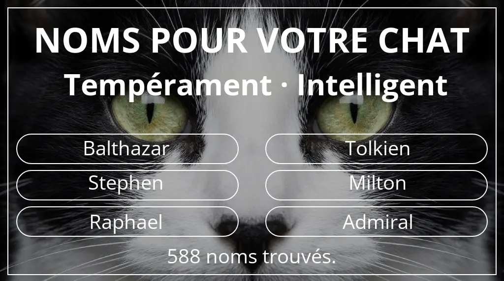 Noms félins basés sur tempérament intelligent
