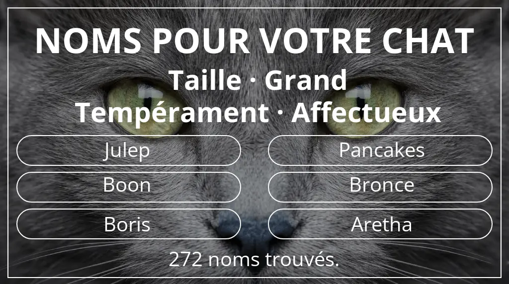 Noms félins inspirés de taille grand et tempérament affectueux