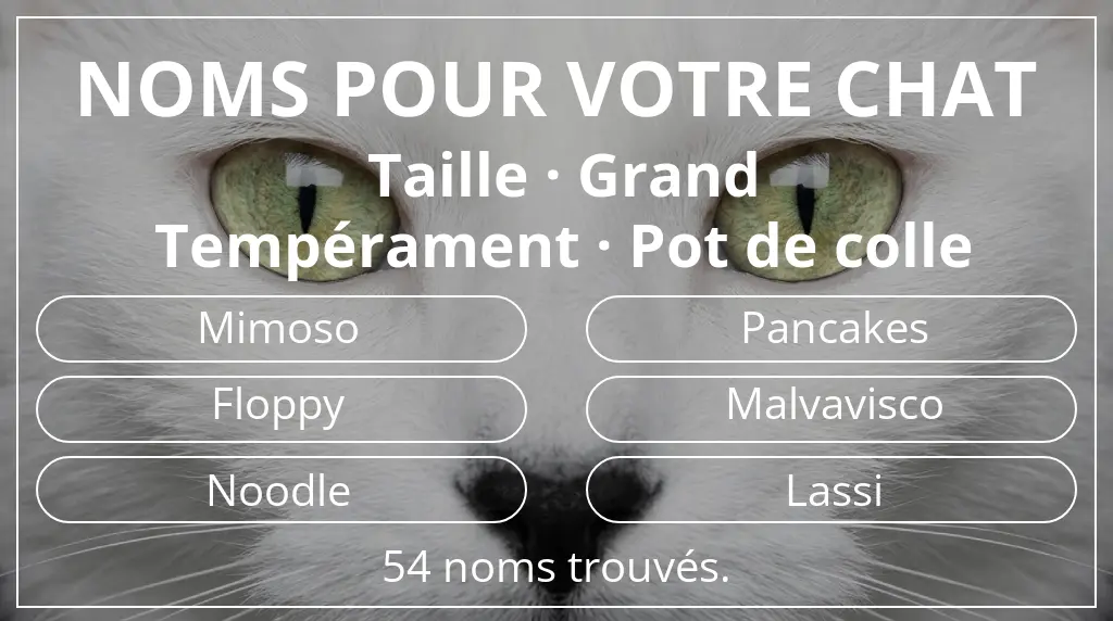 Noms de chats basés sur taille grand et tempérament pot de colle