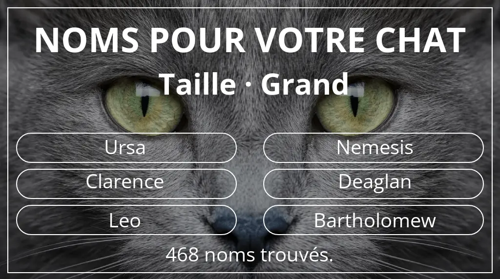Noms de chats en lien avec taille grand
