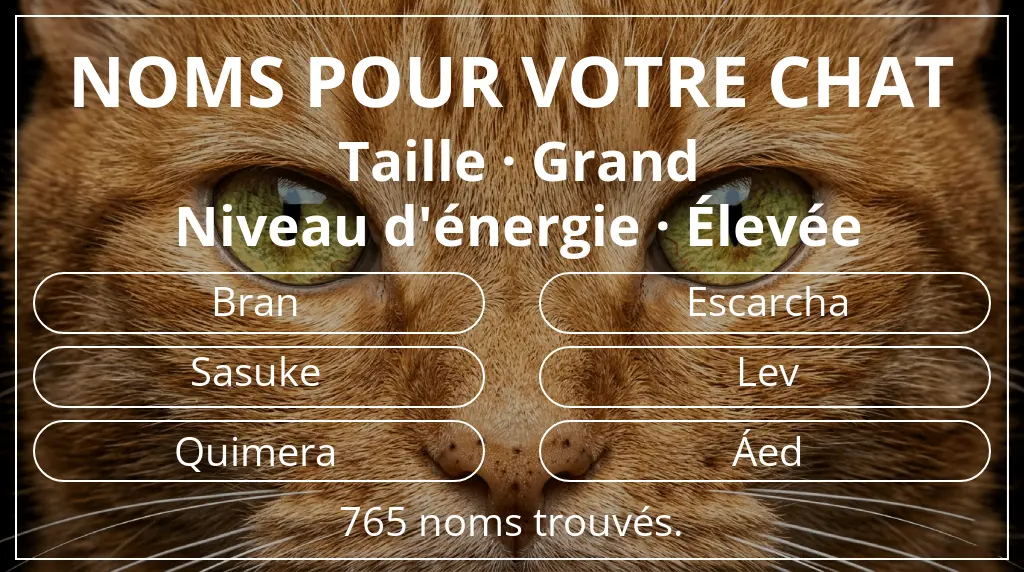 Noms de chats basés sur taille grand et niveau d'énergie élevée