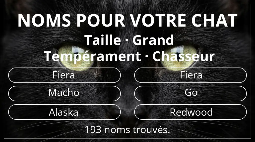 Noms de chats basés sur taille grand et tempérament chasseur