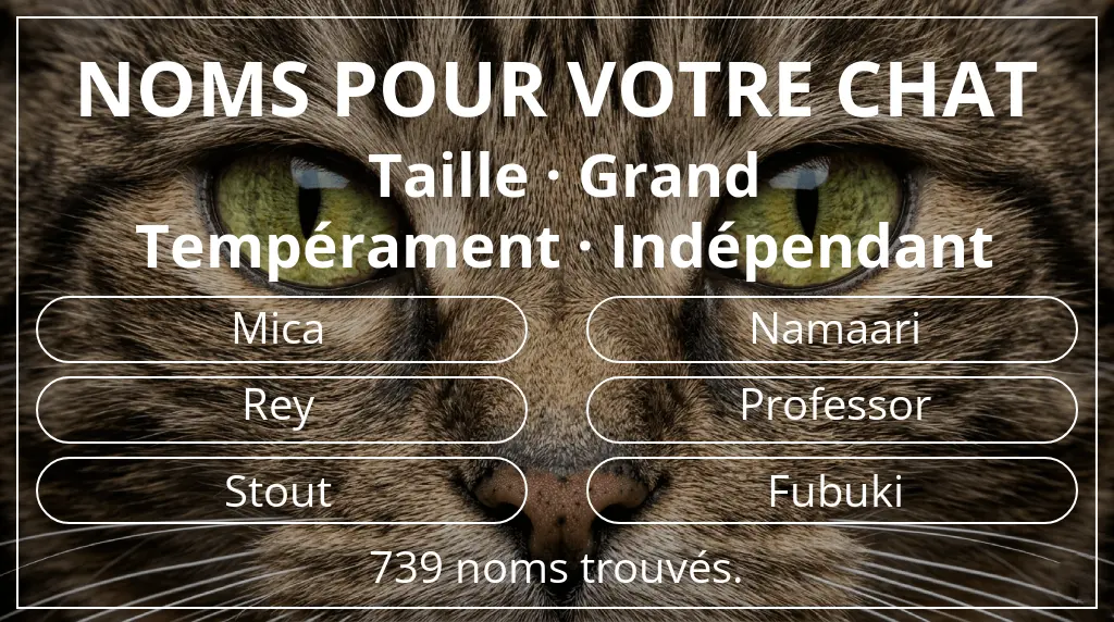 Noms pour chats inspirés de taille grand et tempérament indépendant