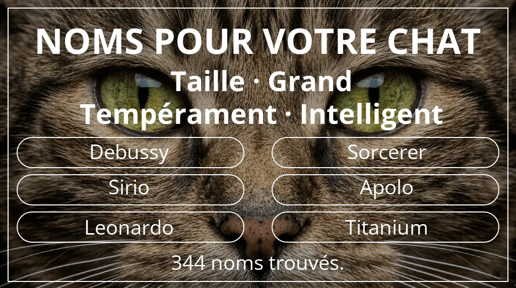 Noms pour chats inspirés de taille grand et tempérament intelligent