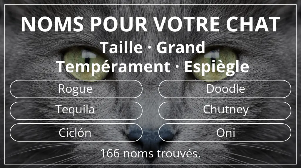 Noms félins inspirés de taille grand et tempérament espiègle