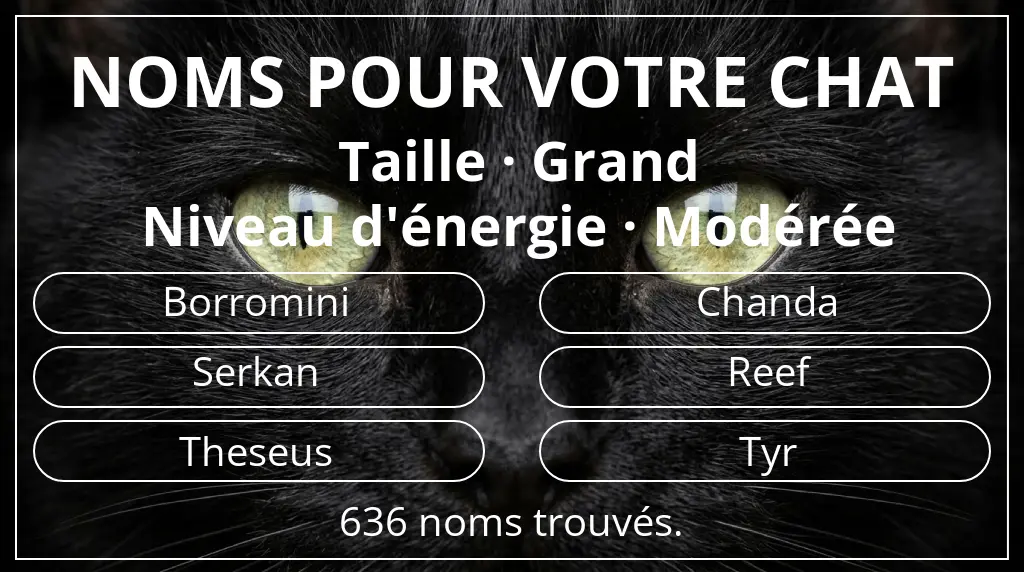 Noms félins en lien avec taille grand et niveau d'énergie modérée