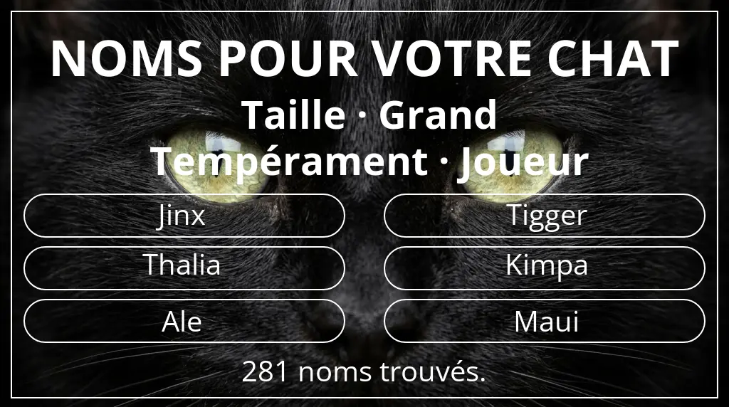 Noms de chats basés sur taille grand et tempérament joueur