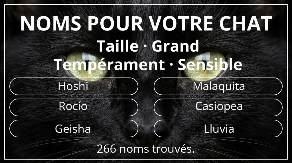 Noms pour chats en lien avec taille grand et tempérament sensible