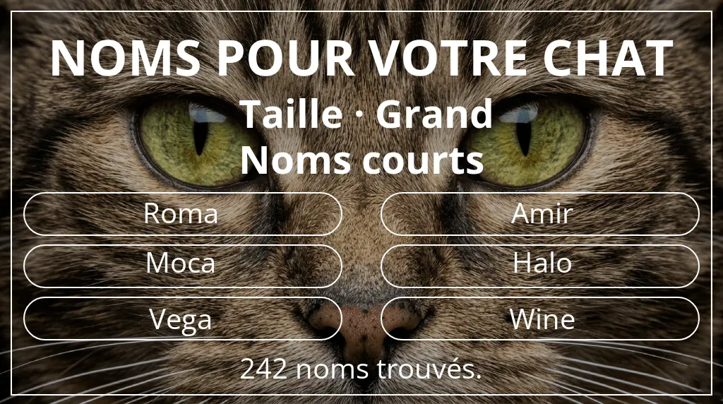 Noms de chats en lien avec taille grand et longueur du nom court (2 à 4)