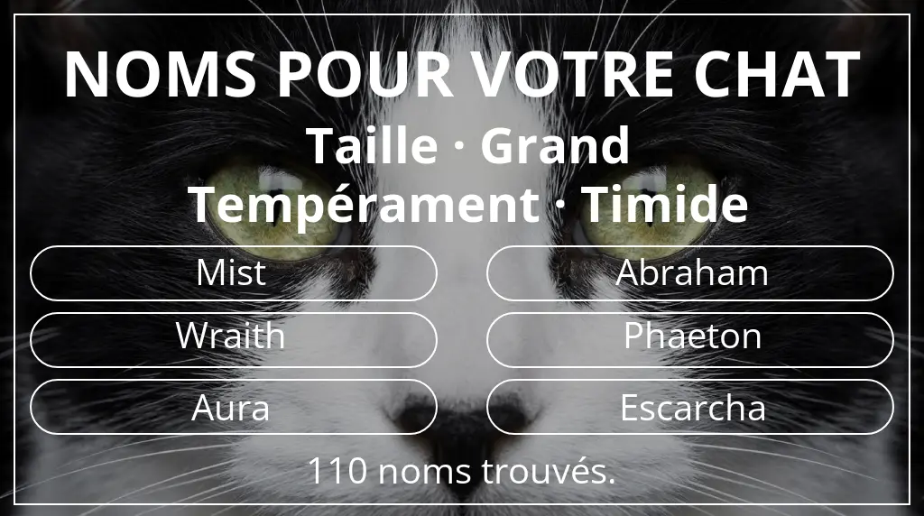 Noms pour chats inspirés de taille grand et tempérament timide