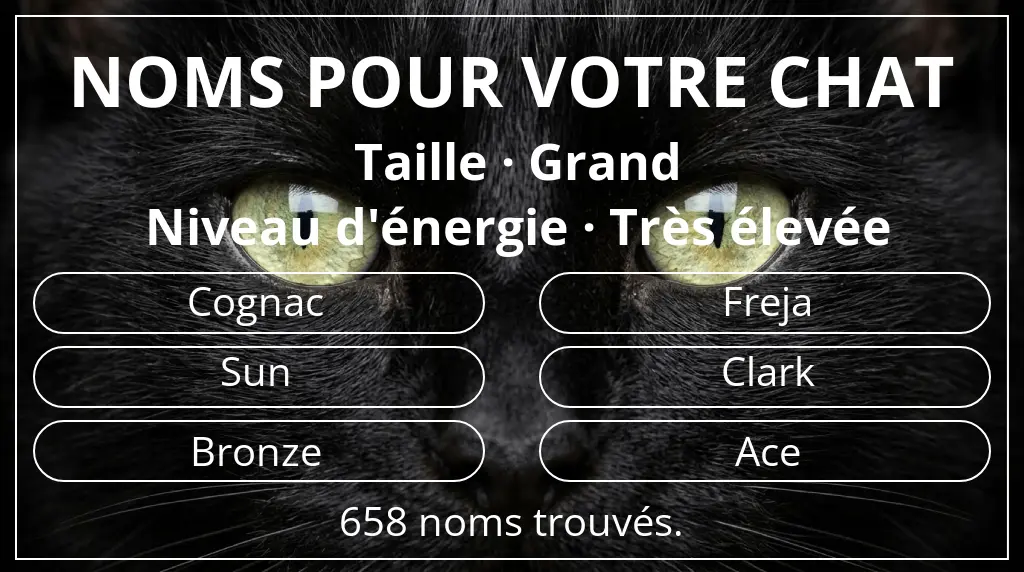 Noms de chats inspirés de taille grand et niveau d'énergie très élevée