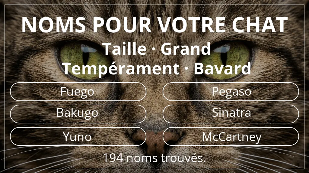 Noms félins basés sur taille grand et tempérament bavard