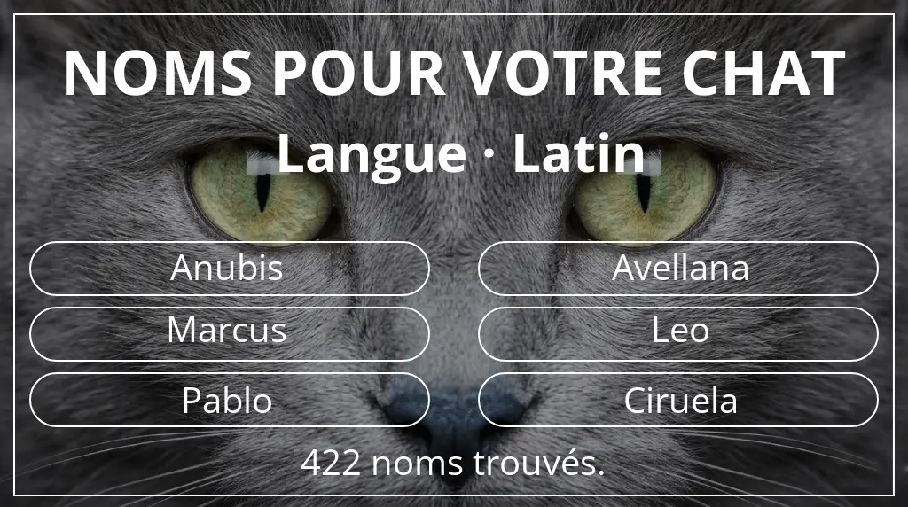 Noms de chats en lien avec langue latin
