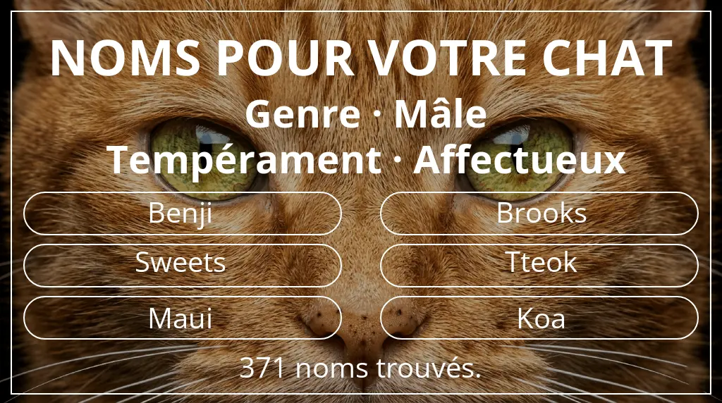 Noms de chats basés sur genre mâle et tempérament affectueux