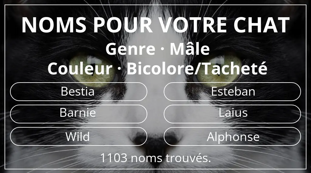 Noms pour chats basés sur genre mâle et couleur bicolore/tacheté