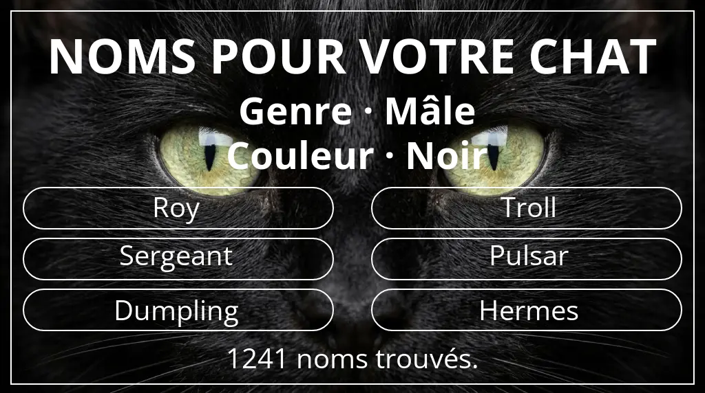 Noms de chats en lien avec genre mâle et couleur noir