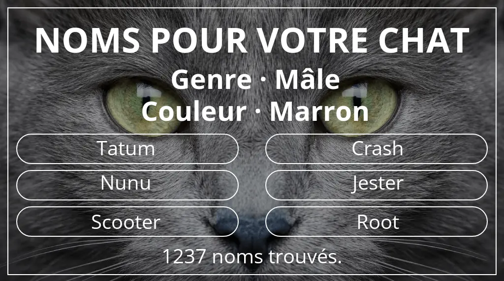 Noms de chats inspirés de genre mâle et couleur marron