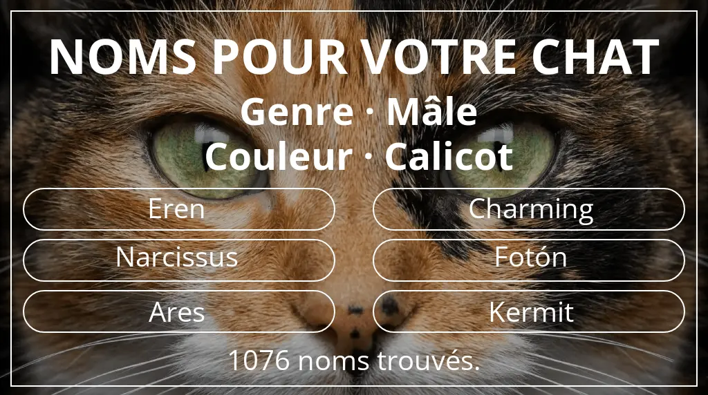 Noms pour chats en lien avec genre mâle et couleur calicot