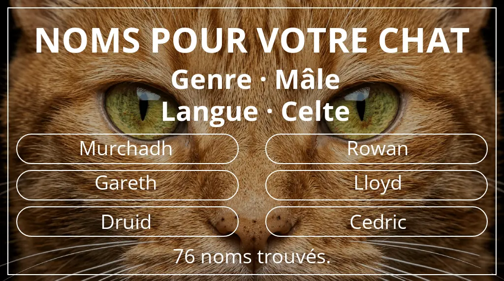 Noms de chats basés sur genre mâle et langue celte