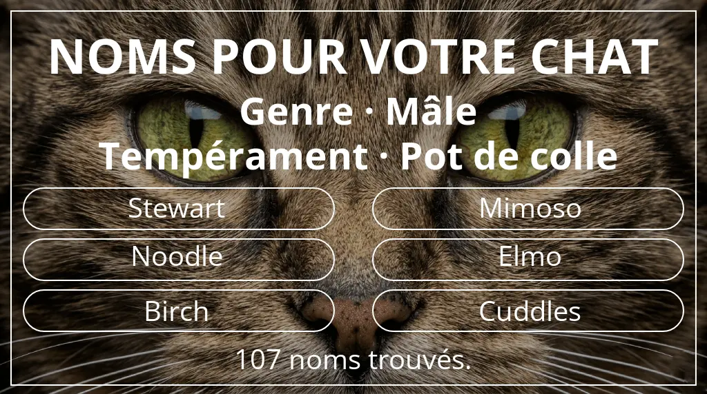 Noms de chats basés sur genre mâle et tempérament pot de colle