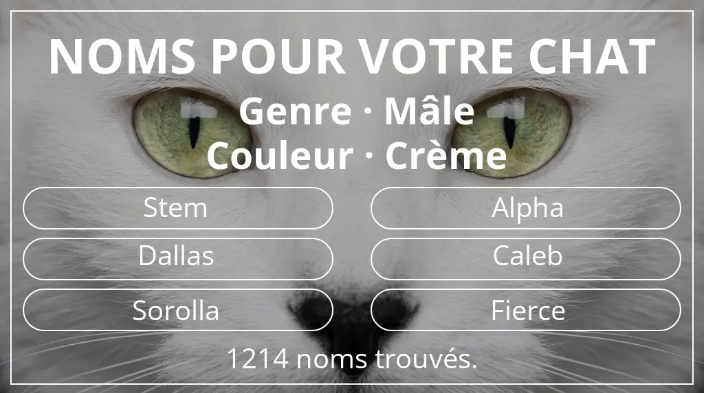 Noms de chats inspirés de genre mâle et couleur crème