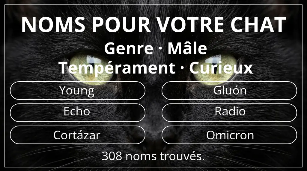 Noms félins basés sur genre mâle et tempérament curieux