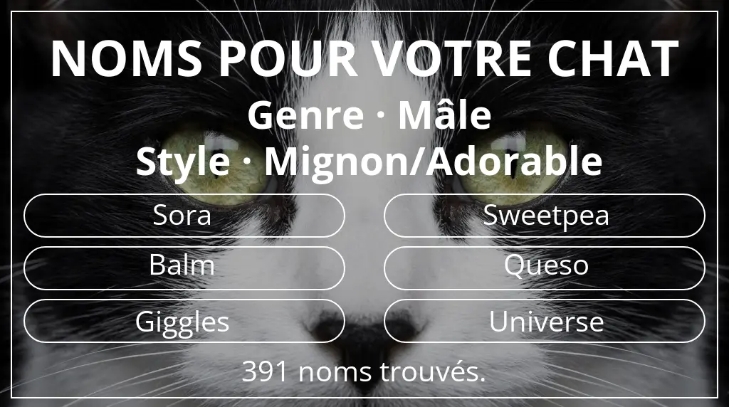 Noms pour chats inspirés de genre mâle et style mignon/adorable