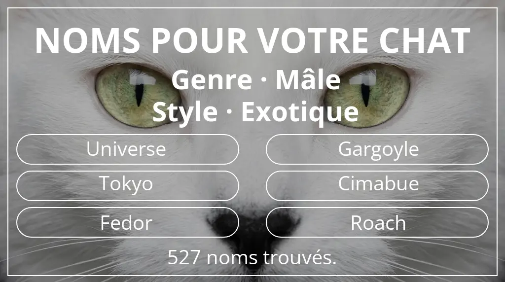 Noms pour chats inspirés de genre mâle et style exotique