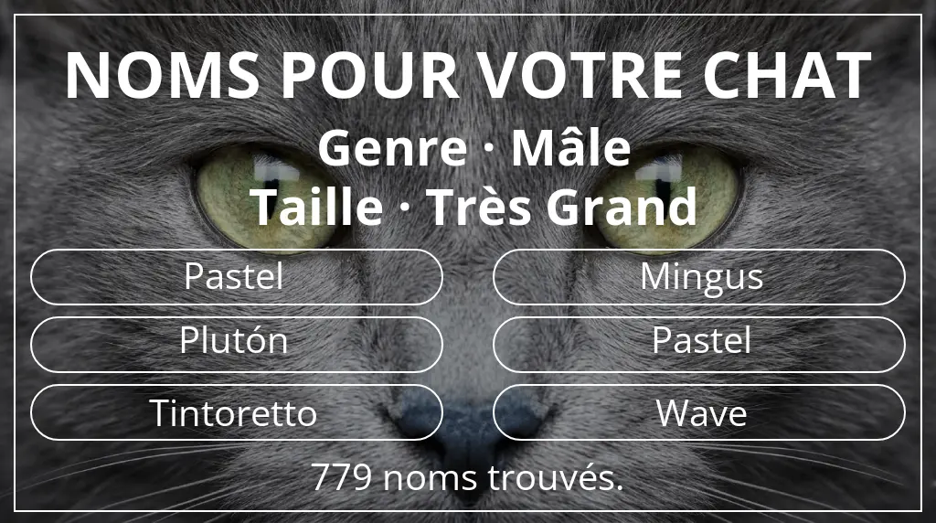 Noms de chats en lien avec genre mâle et taille très grand