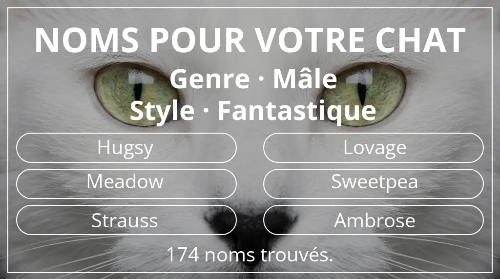 Noms pour chats inspirés de genre mâle et style fantastique
