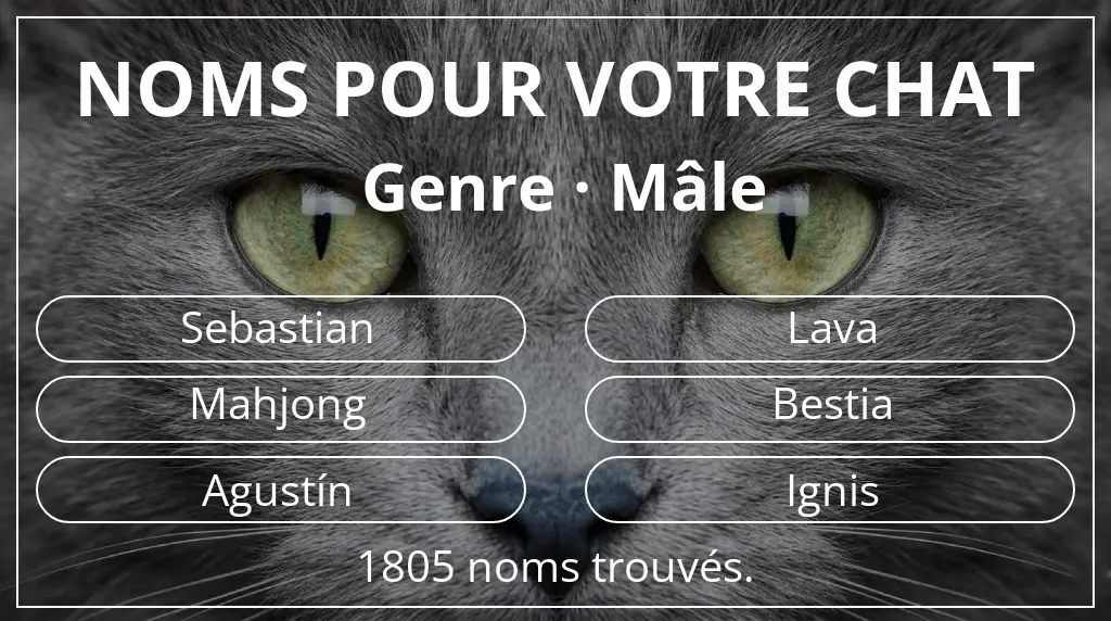 Noms de chats basés sur genre mâle