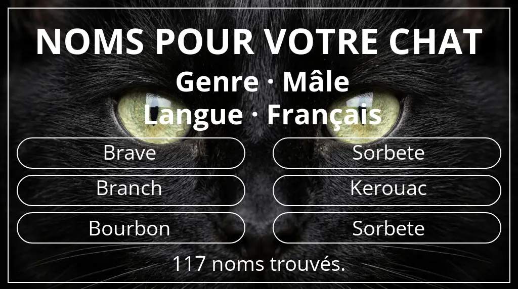 Noms pour chats basés sur genre mâle et langue français
