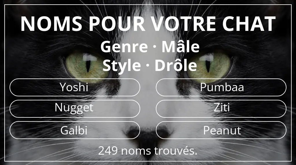 Noms félins en lien avec genre mâle et style drôle