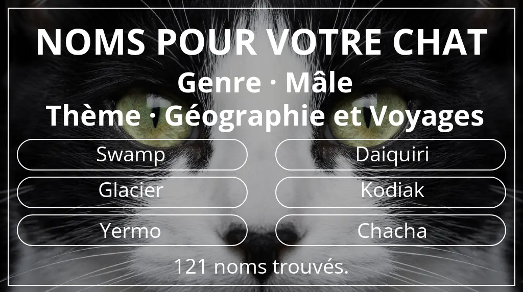Noms pour chats en lien avec genre mâle et thème géographie et voyages
