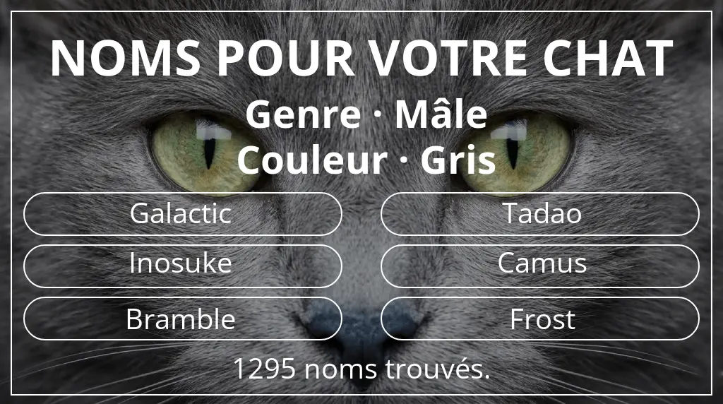 Noms pour chats en lien avec genre mâle et couleur gris