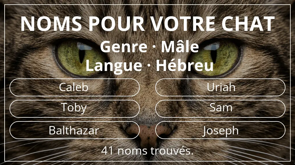 Noms pour chats inspirés de genre mâle et langue hébreu
