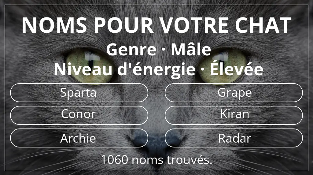 Noms de chats en lien avec genre mâle et niveau d'énergie élevée