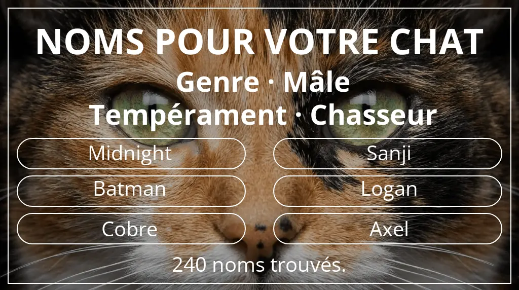 Noms de chats inspirés de genre mâle et tempérament chasseur