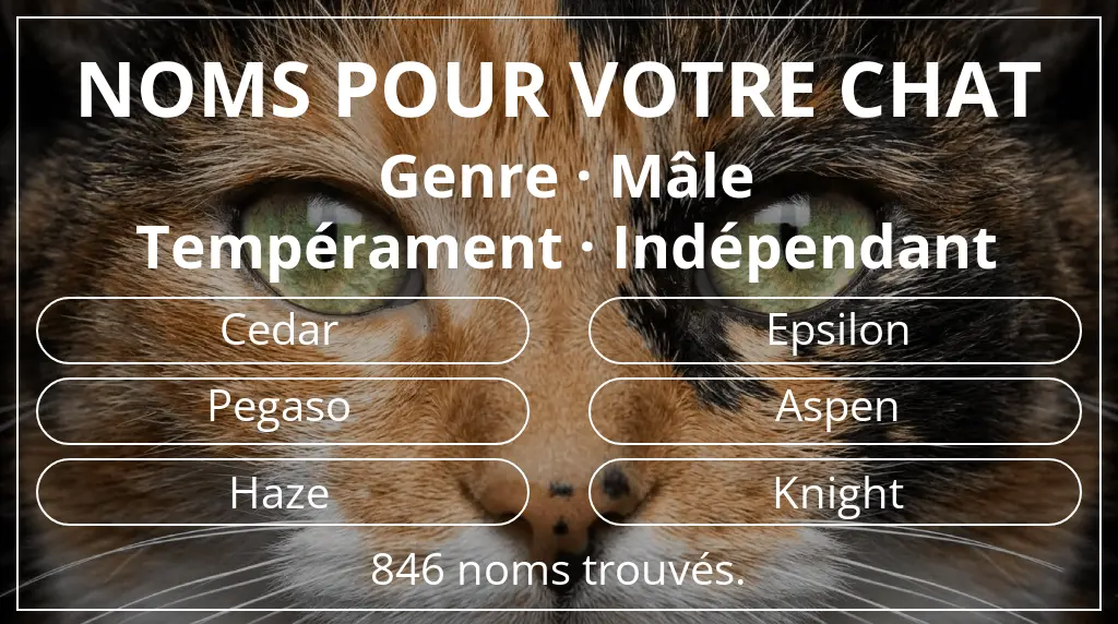 Noms pour chats inspirés de genre mâle et tempérament indépendant