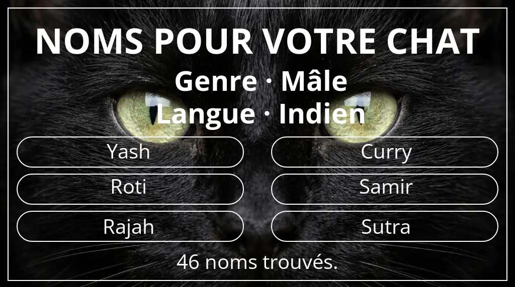 Noms pour chats en lien avec genre mâle et langue indien
